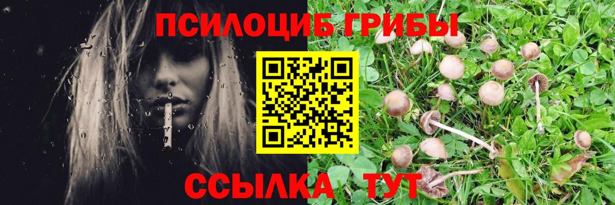 Когалым  Псилоцибиновые грибы прущие грибы  Вход с VPN 